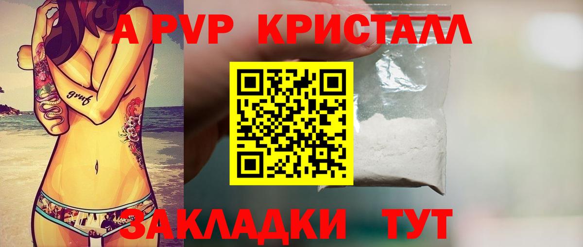 Alfa_PVP СК КРИС Барнаул
