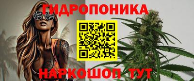 ECSTASY Кохма