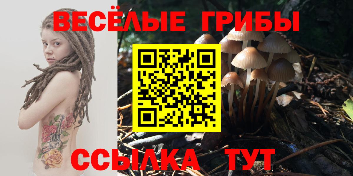 цена   Галлюциногенные грибы ЛСД  Вход с VPN  Галлюциногенные грибы прущие грибы  Барнаул 