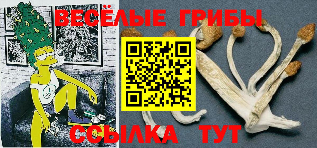 Псилоцибиновые грибы Magic Shrooms Барнаул